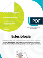 EstesiologiaR PDF