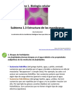 1.3. Estructura de Las Membranas