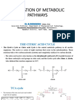 Biochemistry - Metabolism - TCA Cycle & Glyoxalate Cycle