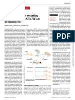 Continuous Genetic Recording With Self-Targeting CRISPR-Cas in Human Cells