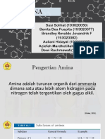 Kimia Organik - Amina PDF