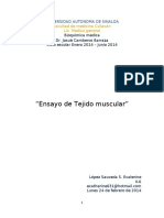 Ensayo_de_Tejido_muscular.docx