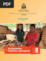 Manual 8 Encadenamiento Productivo y Agronegocios  BTPGA Limpio.pdf