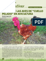 Revista Alternativas Avicolas Cuello Pelado - España