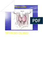 Tiroid PDF