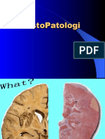 Histopatologi Kesmas
