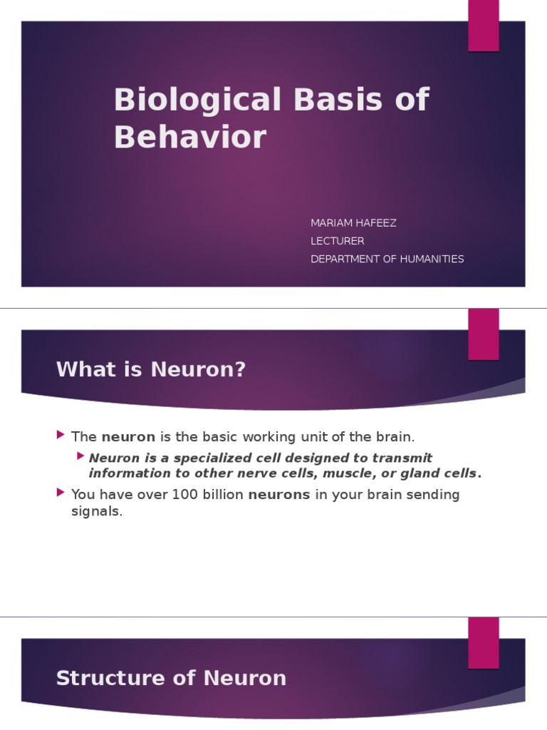 Somatic Nervous System Overview | PDF | Neuron | Nervous System