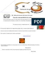 IK Informativo Diciembre I