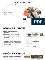 Clasificación de Los Pescados