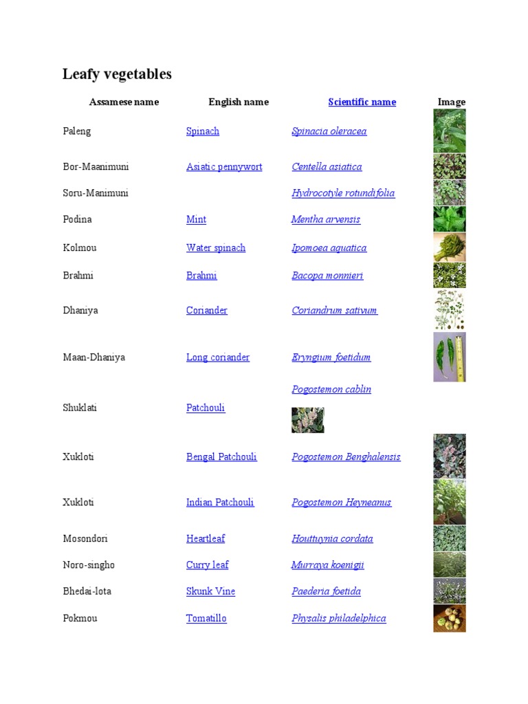 Leafy Vegetables Assamese Name English Name Image PDF Bean Cumin
