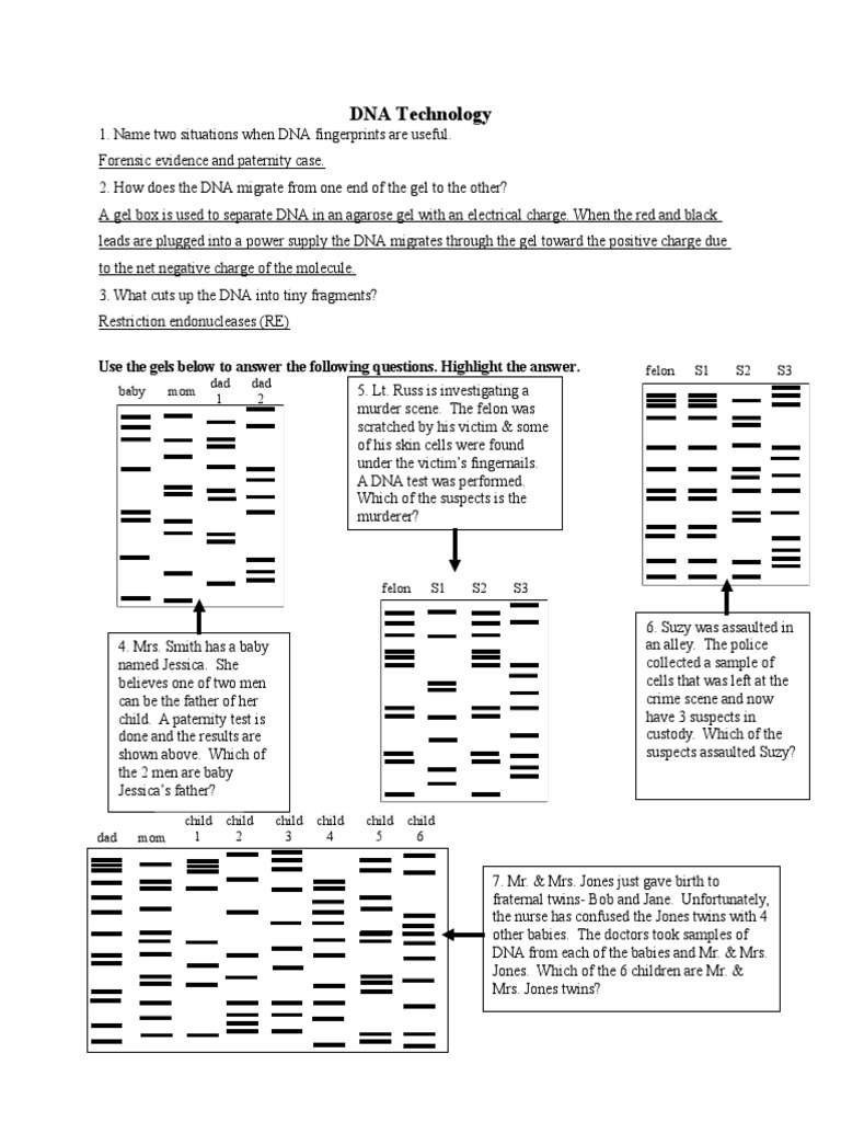 dna-technology-use-the-gels-below-to-answer-the-following-questions-highlight-the-answer-pdf-genetic-engineering-genetics