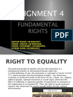 Assignment 4: Fundamental Rights