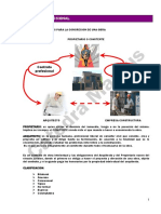 ER 15 Contrato Profesional PDF