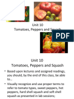 Day 4 - Tomatoes, Peppers, Squash, Herbs, Pears, Apples, Grapes