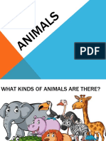 Animals