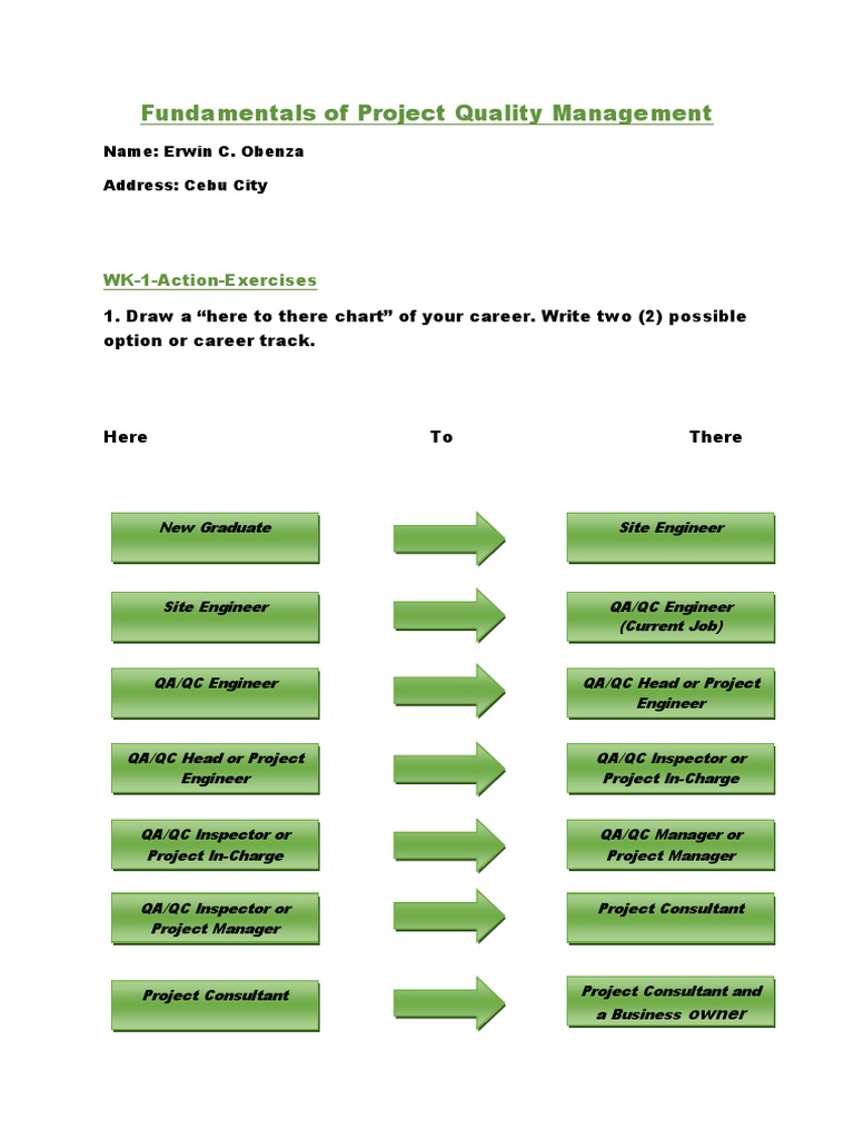 Fundamentals of Project Quality Management: WK-1-Action-Exercises | PDF