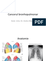 Pulmonar PDF