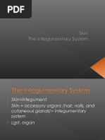 FISIOLOGI KULIT (INGG).pdf