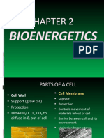 2 Bioenergetics