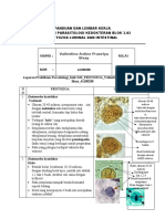 Laporan Praktikum Parasitologi - Blok 3.02 - PROTOZOA - Vallentino Ardine Prasetya Bisay - 41180288