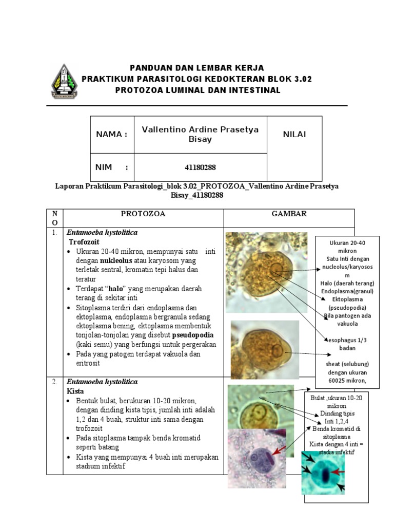Keksa ayol buzuq porno
