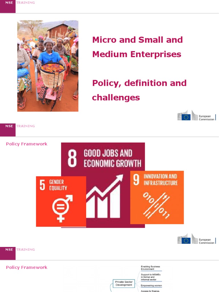 Micro and Small and Medium Enterprises PDF PDF Small And Medium