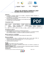 2 - FM - Alegerea - Tipului - de - Societate - Pentru - Înființarea - FE (În Lumina Blitz-Ului)