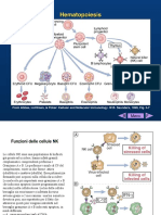 lez. 8 e 9 imm. specifica and antigen presentation.pdf