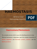 Theory of normal haemostasis