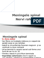 Meningele spinal.pptx