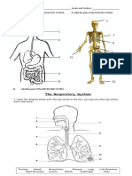 Name: - Grade and Section: - Label The Parts of The DIGESTIVE SYSTEM