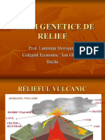 reliefpetrograficiv (1)