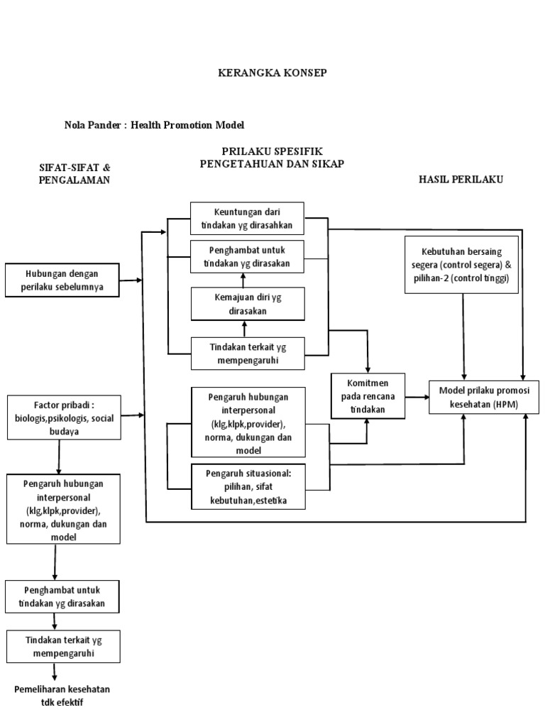 Kerangka Konsep | PDF