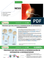 gametogénesis 2.pptx