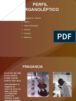 Perfil-Organoleptico - CLASE III