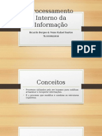 Processamento Interno Da Informação