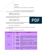 Los Pronombres - 1 PDF