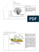 Tarea insectos 24_04_2020