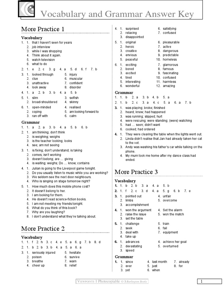 Vocabulary and Grammar Answer Key | PDF