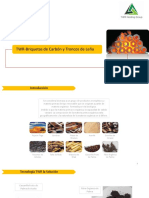 TWR-System-Briquetas - Troncos de Biomasa PDF