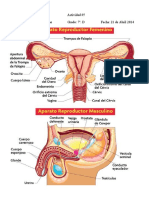 ORGANOS REPRODUCTORES