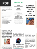 Escala de Gasglow | PDF | Dolor | Cerebro