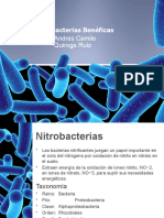 Bacterias Benéficas-3 MVE C- Quiroga Ruiz