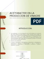 Acetobacter Aceti en La Produccion de Vinagre