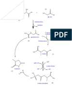 Arginine Glycine: NH H N H N OH H N O