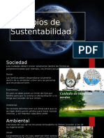 Principios%20de%20Sustentabilidad.pptx