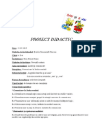 20 Proiect CLR