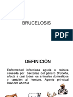 Brucelosis en animales y humanos: causas, síntomas y control
