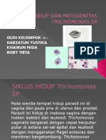 Siklus Hidup Dan Patogenitas Trichomonas SP