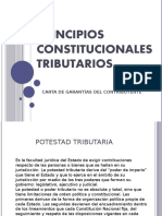 Principios Constitucionales.pptx